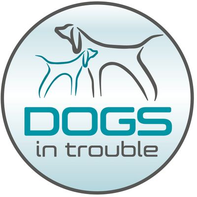 Dogs in Trouble